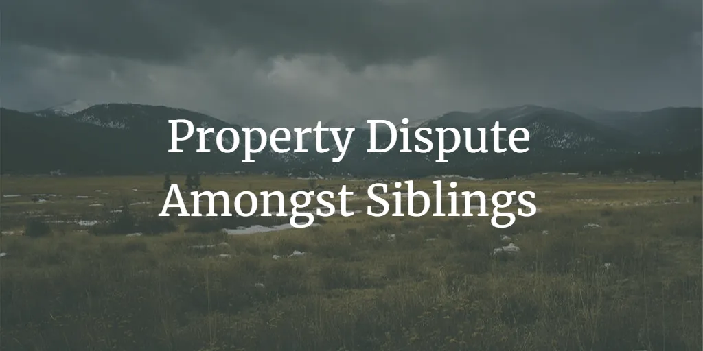 Navigating Property Disputes Among Siblings: A Comprehensive Guide to Family Property Dispute Resolution