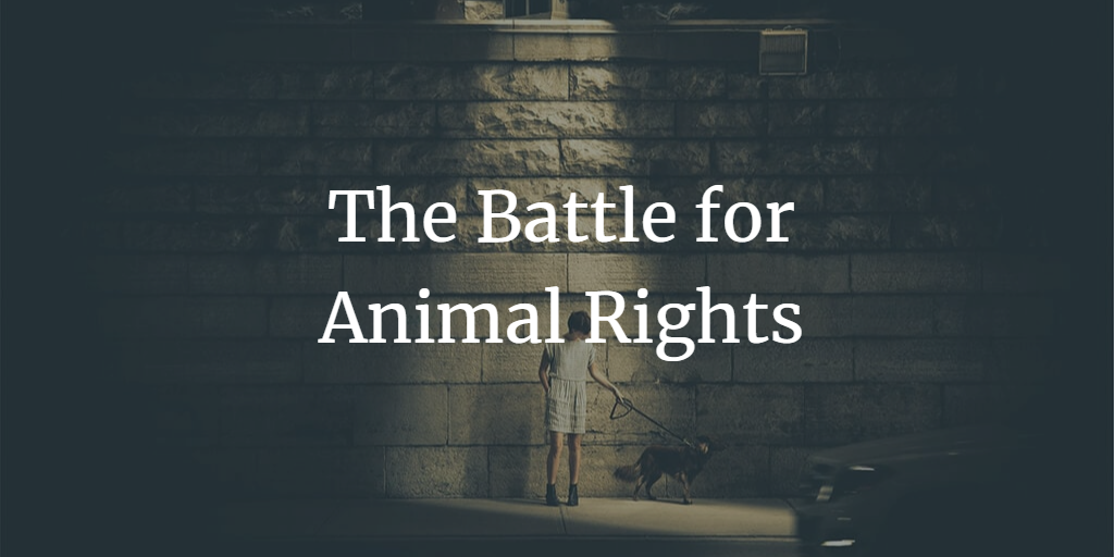 The Battle for Animal Rights: Balancing Sports and Welfare