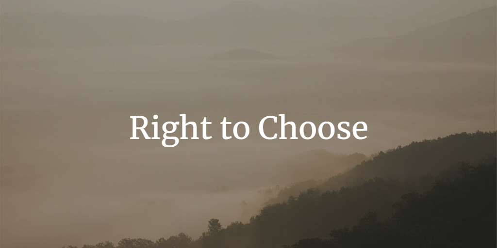 Right to Choose as a Fundamental Right