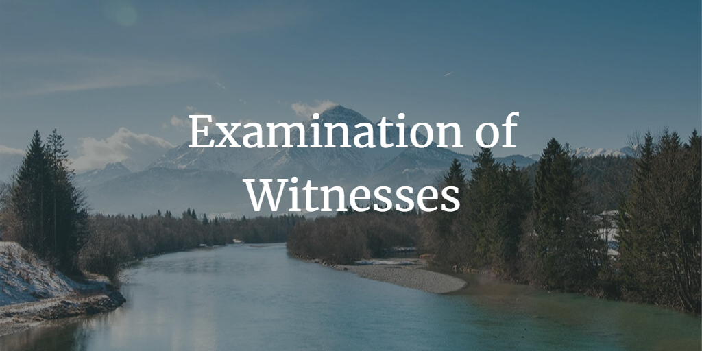 All you need to know about Examination of Witnesses