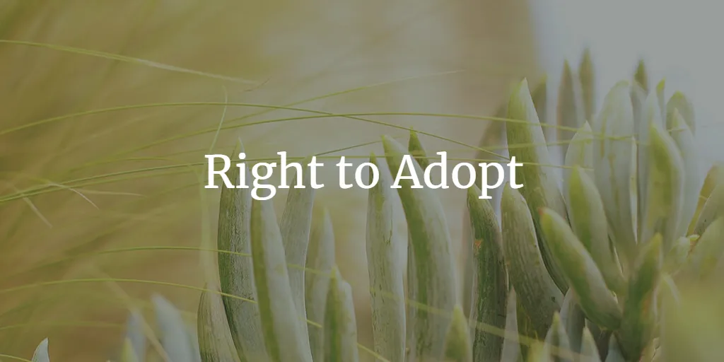 Should Right to Adopt be a Fundamental Right in India?