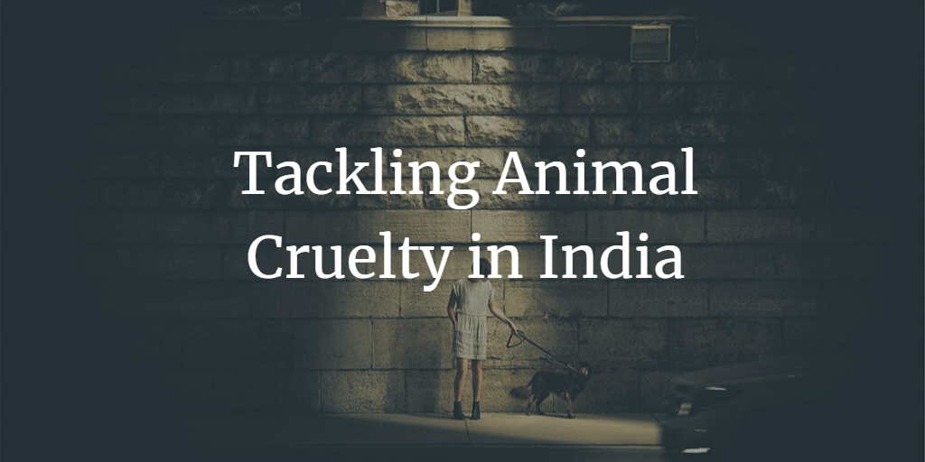Why Animal Cruelty In India Needs To Be Addressed Urgently? What Does The Law Say?