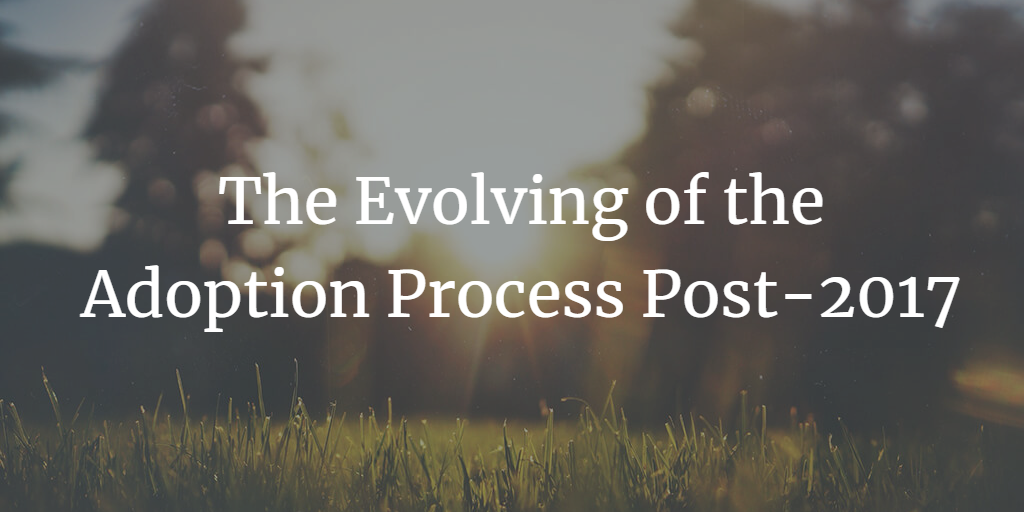 The Evolving Landscape of the Adoption Process Post-2017: Exploring the Significance of CARA