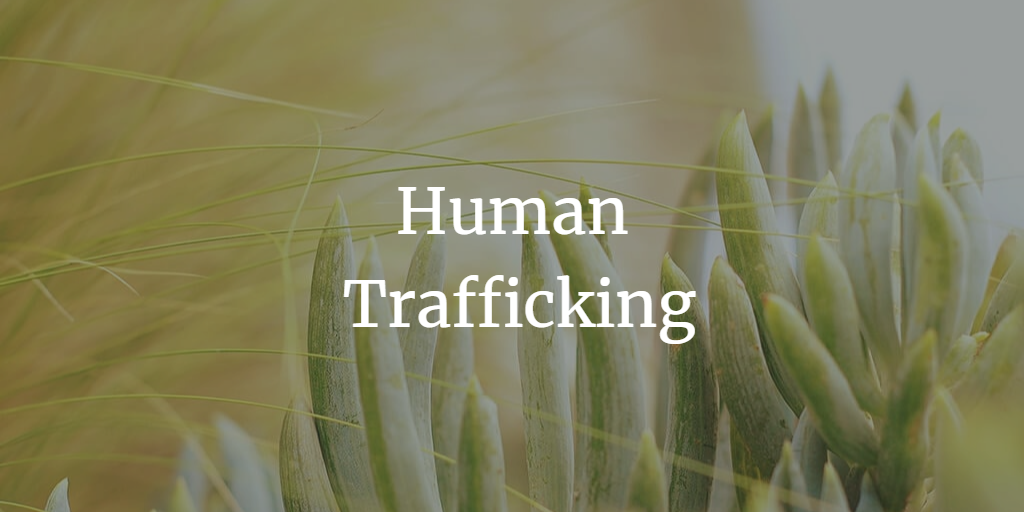 Human Trafficking: Slavery in our Mist