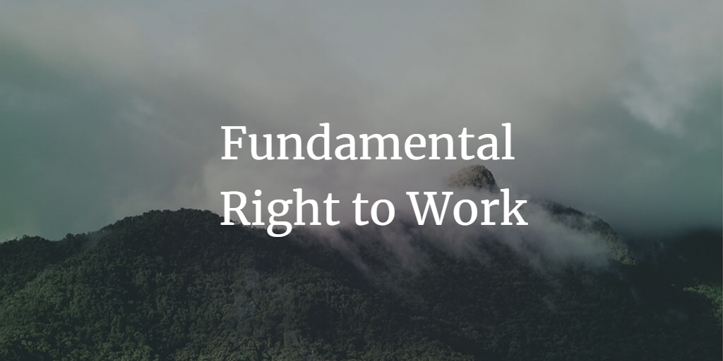 Fundamental Right to Work - A Comprehensive Analysis of the Concept and its Viability