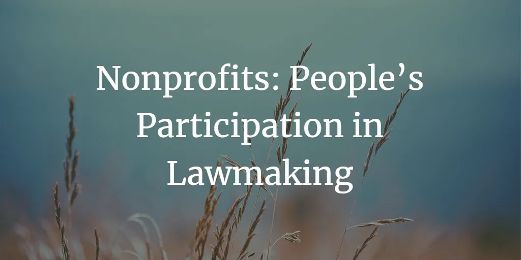 How can nonprofits ensure people’s participation in lawmaking?